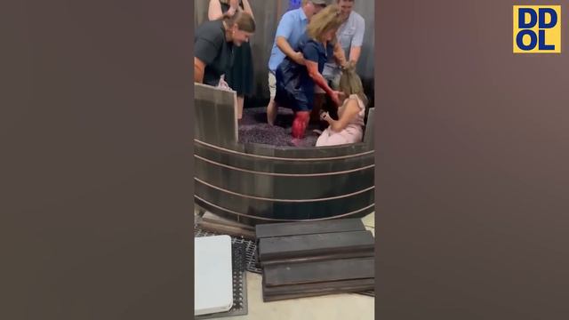 *1 HOUR* Impossible Try Not to Laugh Challenge #21 😂 | Funniest Fail Videos of 2024 смотреть онлайн