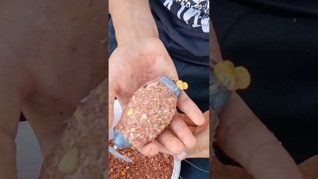 Рыбалка на Донки Крокодилы. смотреть онлайн