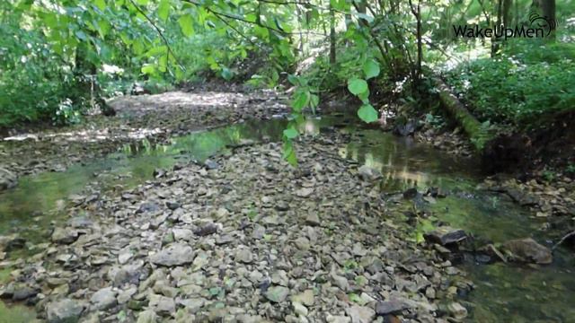 Река Бунчиха. Горная река Подмосковья. смотреть онлайн