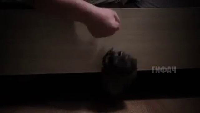 Когда не боишься темноты. смотреть онлайн