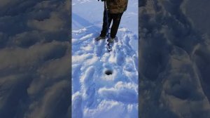 Шуруповерт makita за 10тр ледобур