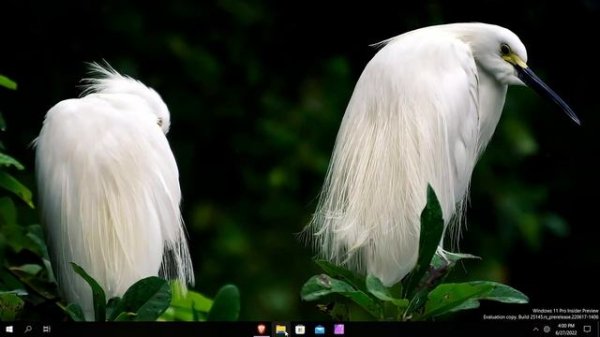 Resizing the Windows 11 Taskbar | WinAero Tweaker [App Review]