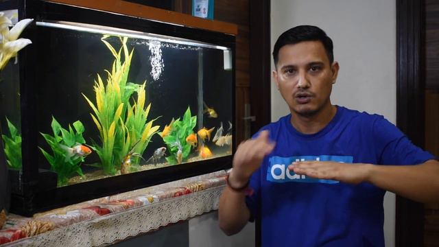 Crystal Clear Aquarium water - Top 3 simple tips || Pets & Care with Roshan смотреть онлайн