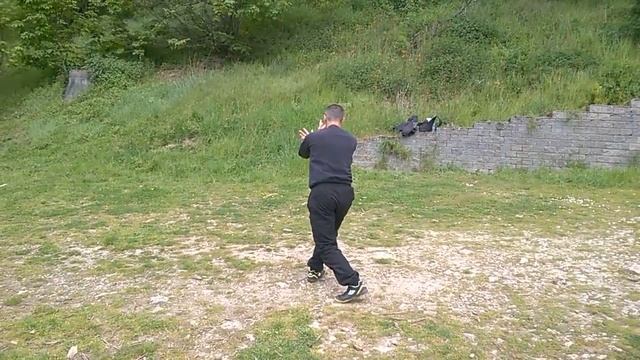 4éme section vue de face Zhen zong taiji quan смотреть онлайн