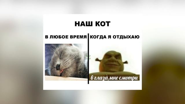 Рофлы и мемы для элиты интернетов смотреть онлайн