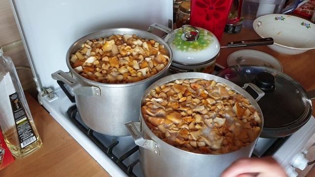 Семейные Друзья на Лапках