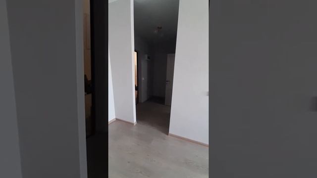 Квартира-студия 31 кв.м. смотреть онлайн