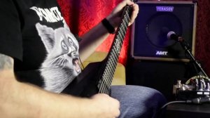 Гитарный преамп AMT Bulava. Обзор | Гитаризм