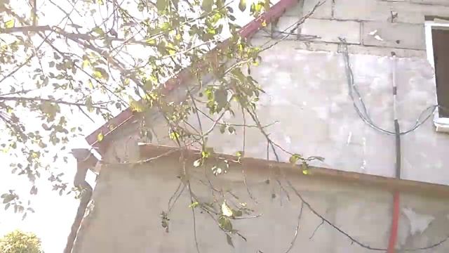 Начал строить навес