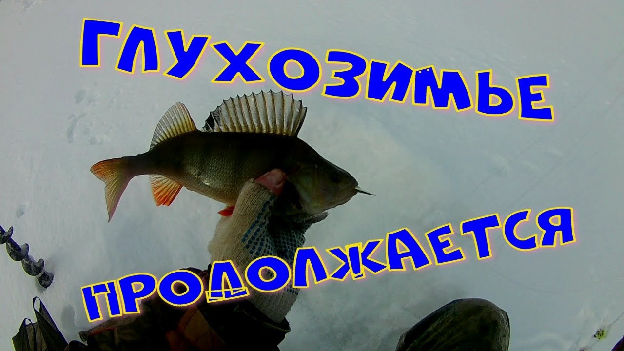 Глухозимье продолжается.mp4 смотреть онлайн