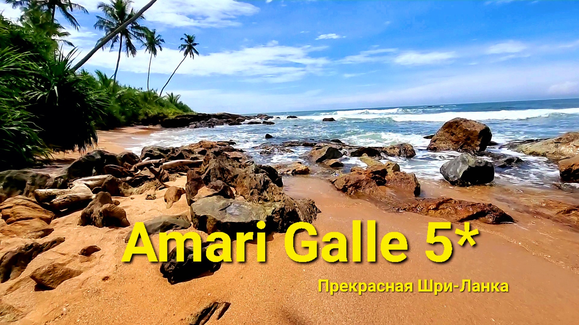 Шри-Ланка Amari Galle 5*? мой завтрак / крабы и другие жители океана ?