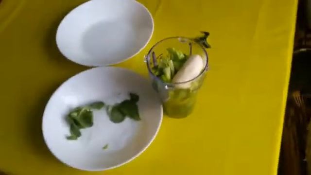 Борьба с белокрылкой уксусом смотреть онлайн