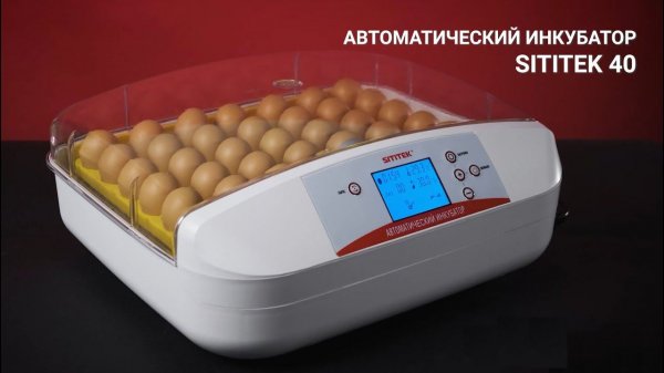 Инкубатор автоматический SITITEK 40