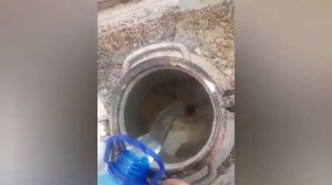 Сбор берёзового сока. Изготовление браги из берёзового сока.