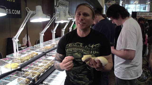 Python Bites Face! SnakeBytesTV : AnimalBytesTV смотреть онлайн