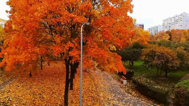 Осень в Москве 2018