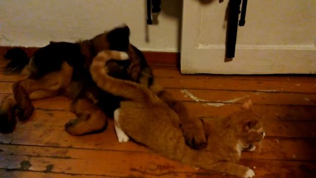 Вот что значит настоящие подруги))) смотреть онлайн