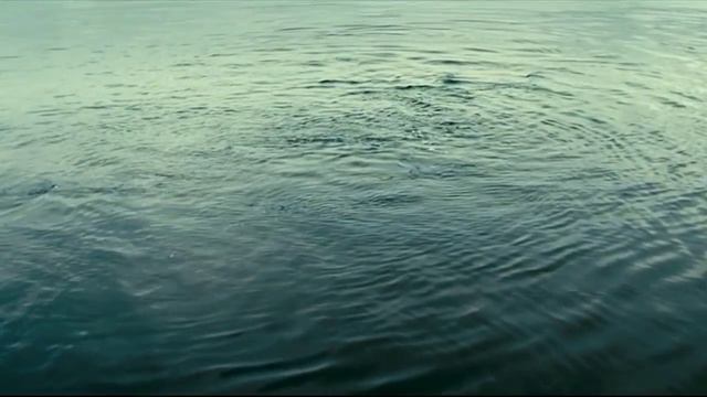 Whales.#Киты -великаны,их величие. смотреть онлайн