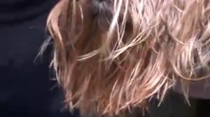 Порода собак   йоркширский терьер  Уход и содержание Фото, видео