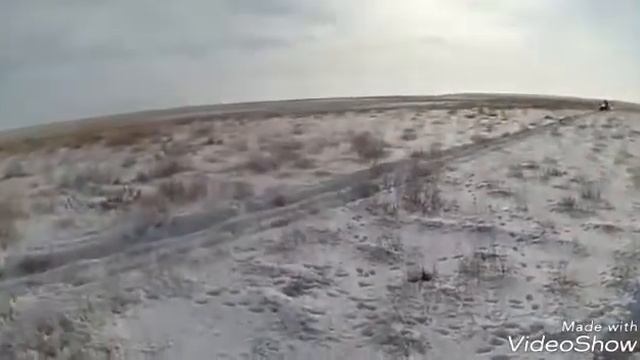 Охота на волка в степи смотреть онлайн
