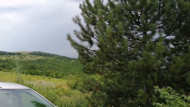 УКВ ПОЛЕВОЙ ДЕНЬ В ГОРАХ ПОД АНАПОЙ. 300 М НАД УРОВНЕМ МОРЯ. смотреть онлайн