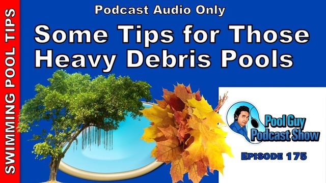 Some Tips for Those Heavy Debris Swimming Pools смотреть онлайн