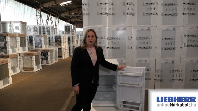 Liebherr T 1414 | Egyajtós hűtőszekrény bemutató videó смотреть онлайн