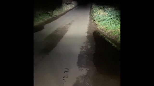 H4 LED headlight bulb test on my Honda CB1300. смотреть онлайн