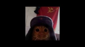 Катюша     Phonk Remix