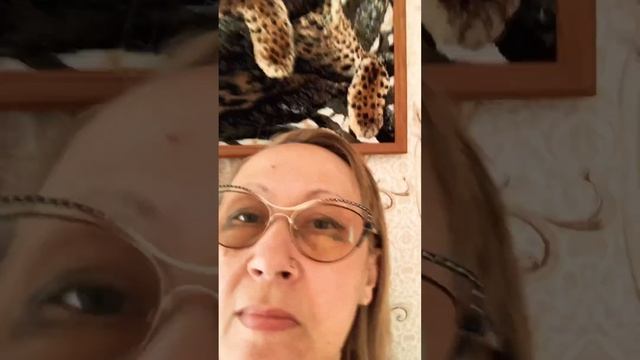 #вышивка крестиком. #котики смотреть онлайн