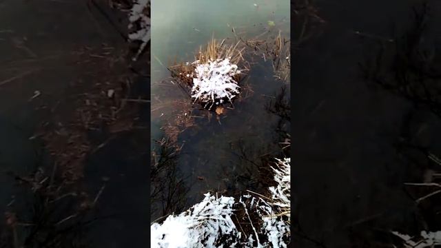 Рыбалка зимой. Последний день на хищника. 31.01.2021. смотреть онлайн