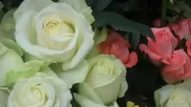 Aurel Tamas - Cantec pentru MAMA - CEL MI SCUMP SI DRAG CUVINT-MAMA - Trilulilu Video Muzica.flv смотреть онлайн