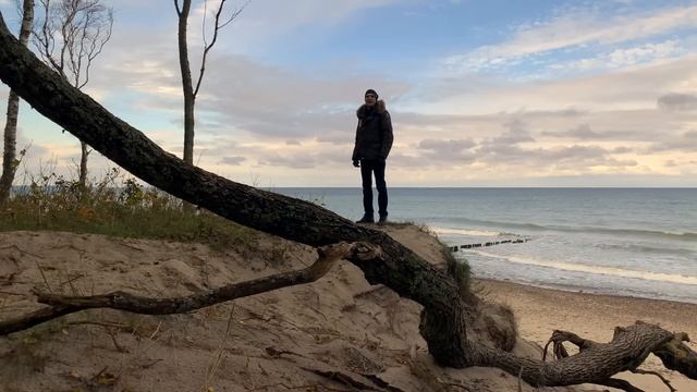 Анализ фильма «Большой Стэн». Выжить в тюрьме подсознания смотреть онлайн