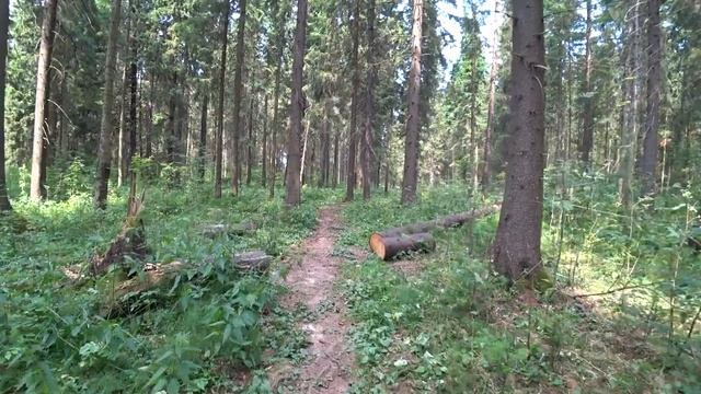 Черное озеро и козы. Пермь.18 июля 2020 смотреть онлайн