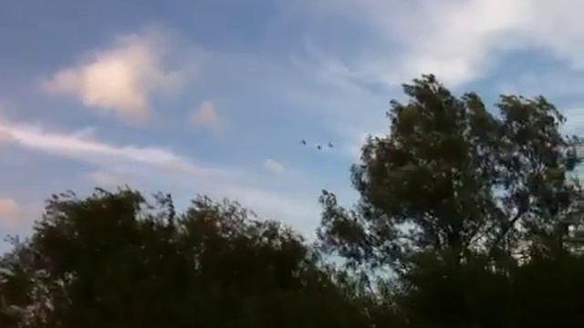 Лебеди смотреть онлайн