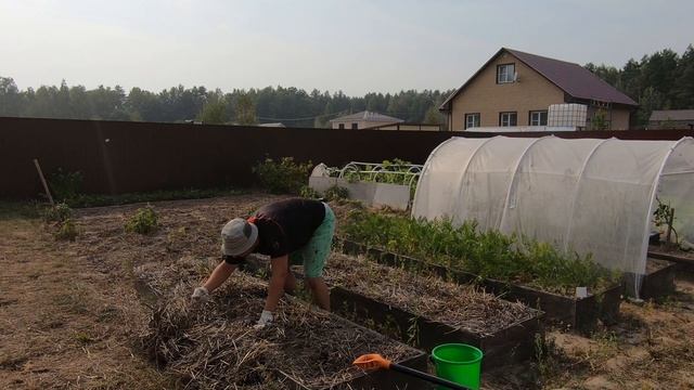 Высокоурожайный картофель.mp4 смотреть онлайн