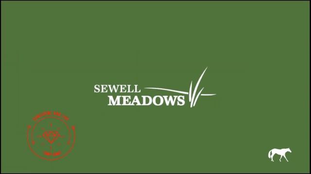 Rival Stars Horse Racing Gameplay Walkthrough (Android,iOS) - Part 10 смотреть онлайн