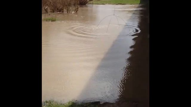 Рыбалка На Паука смотреть онлайн