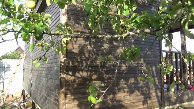 Летний домик 4.6х5.8м. из бытовок с крыльцом "Славянка". Цена в СПб 163 100 руб. смотреть онлайн