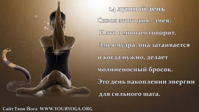 14 лунный день смотреть онлайн