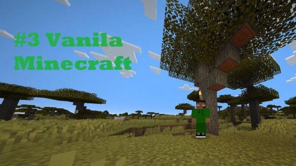 #3 Vanila Minecraft