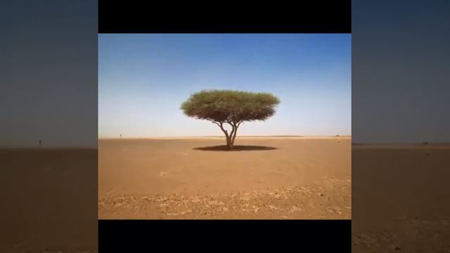 Город Бога. 3 часть смотреть онлайн