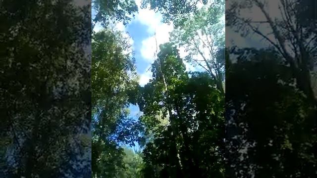 ОСОЗНАНИЕ-ПОНИМАНИЕ-ПРИЗНАНИЕ смотреть онлайн