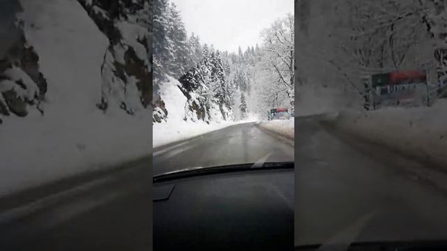 Bakuriani 2017 смотреть онлайн