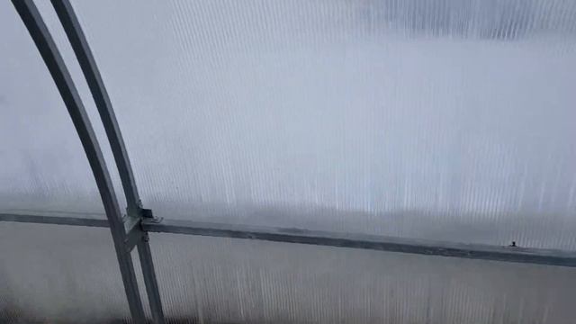 Тест зимовки моих гибридов нимфей в мини прудах накрытых теплицей, глубина прудов 42 см! смотреть онлайн