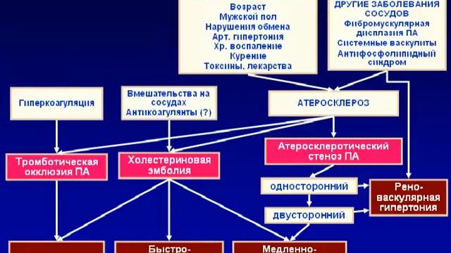 Ишемическая болезнь почек, лекция М.Ю.Швецова © смотреть онлайн