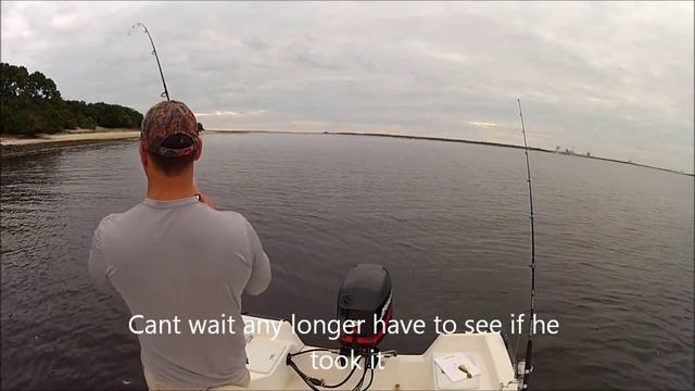 Flounder fishing with Gulp swimming mullet (cumberland island in southeast ga) смотреть онлайн