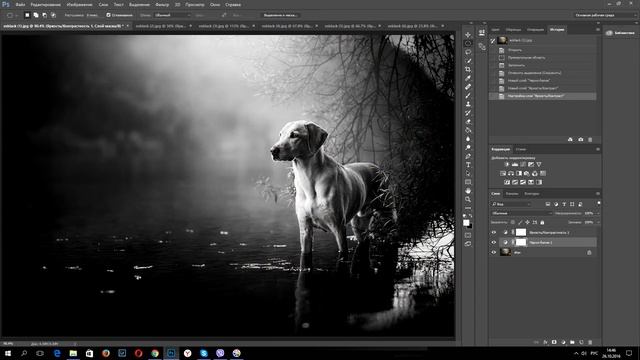 Как сделать красивую черно белую фотографию в photoshop смотреть онлайн