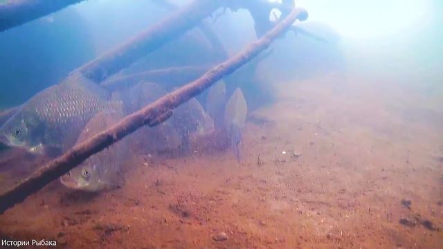 Последний лед: Хорошее закрытие сезона. смотреть онлайн