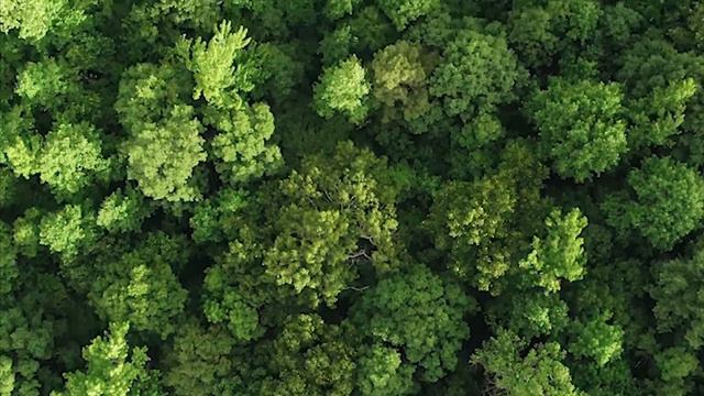 Притча: "Концентрация". смотреть онлайн